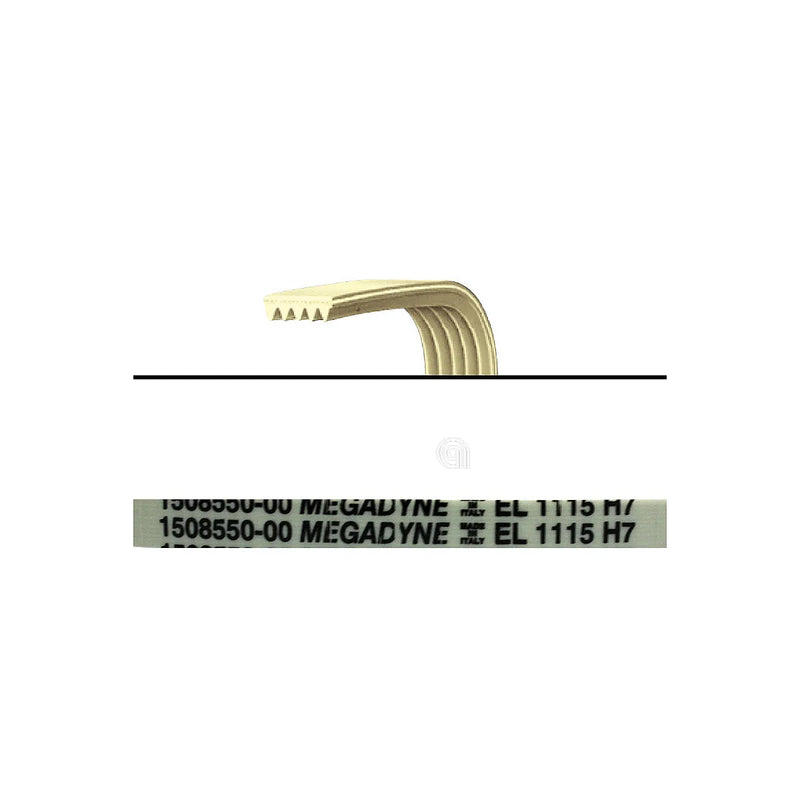 ELECTROLUX, REX, ZANUSSI, PRIVILEG, ZANKER, UNIVERSALE - Pasek do pralki 1115 H7 - 1508550009