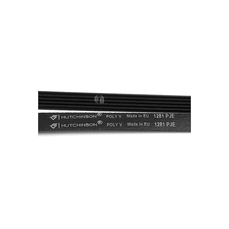 ELECTROLUX, MIDEA - Pasek do pralki 1281 J5 EL - 4055123915