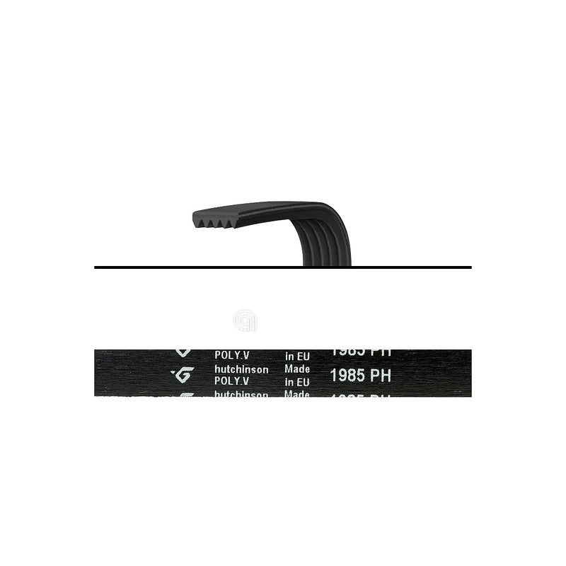BAUKNECHT - Pasek napędowy 1985 H7 Poly-V - 03238600001580