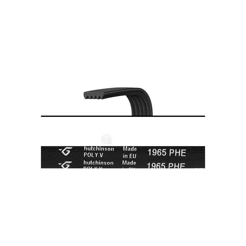 BRANDT - Pasek wielorowkowy Poly-V 1965 H6 - 57X0259