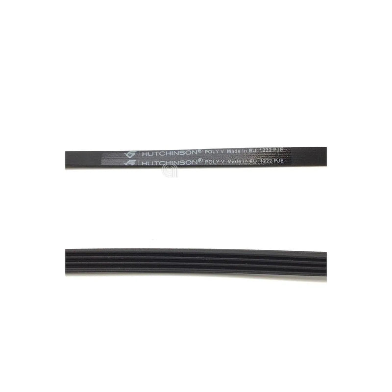 ELECTROLUX, ZANUSSI, BRANDT, FAGOR - Pasek do pralki - 1290775806