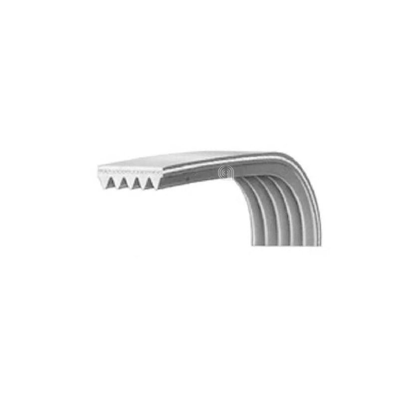BEKO - Pasek napędowy Poly-V 1244 J5 pralki - 2466300201