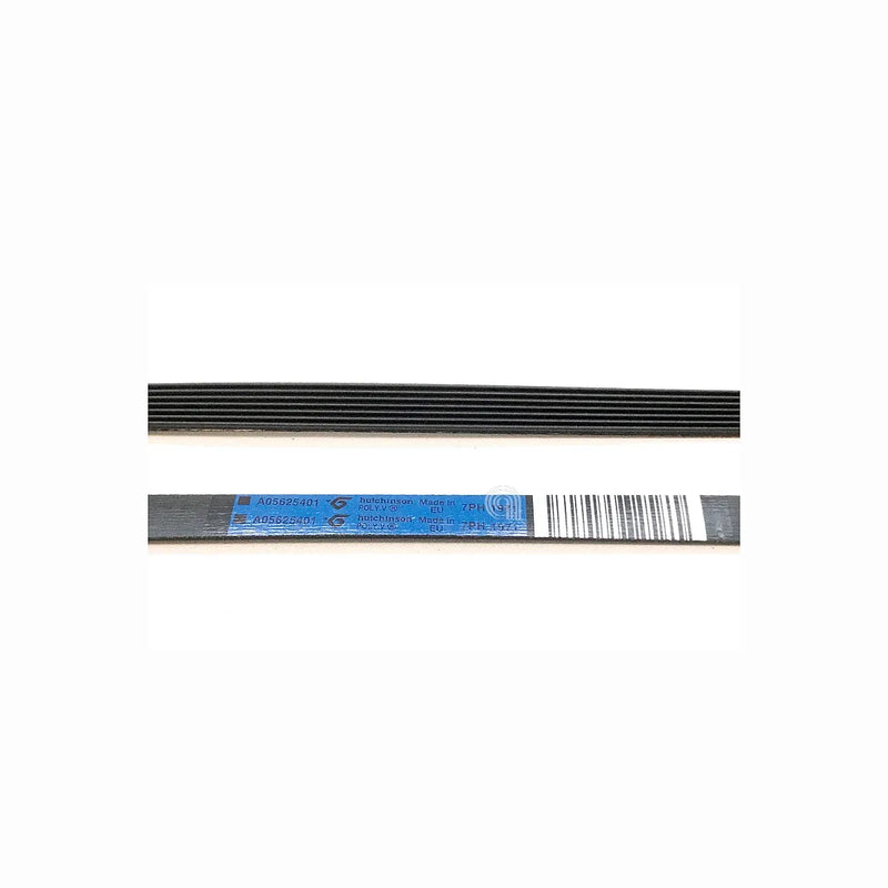 Pasek H7 1971 Poly-V do suszarki Electrolux oryginalny
