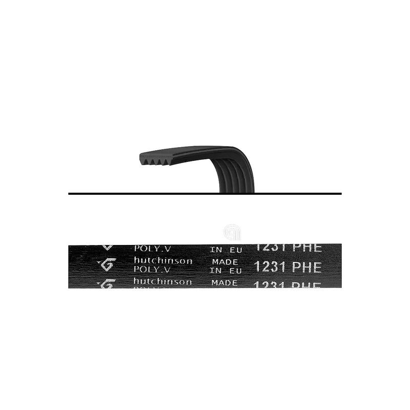 CANDY HOOVER TEKA - Pasek napędowy Poly-V 1231 H8 Pralka - 41003164