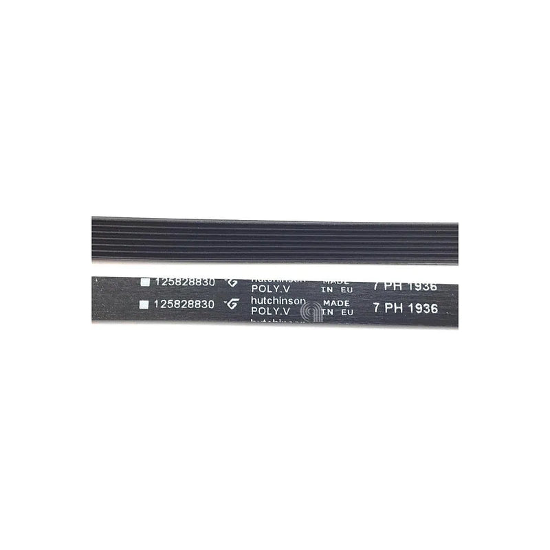 oryginalny pasek do suszarki poly-v h7 1936 Electrolux 1258288305