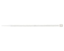 Opaska nylonowa 2,5x100mm (100 sztuk) | 11101919